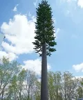 Camouflaged Communication Tower (Pine Tree Tower)