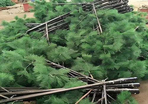 Realistic appearance