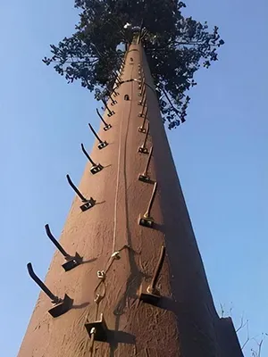 Final appearance inspection