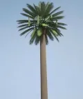 Camouflaged Communication Tower (Palm Tree Tower)