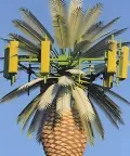 Camouflaged Communication Tower (Palm Tree Tower)