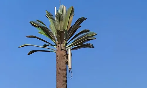 Camouflaged Communication Tower (Palm Tree Tower)