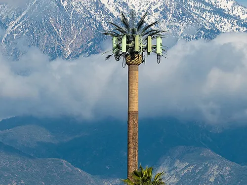 Palm Tree Tower Installed in a High-Altitude Area
