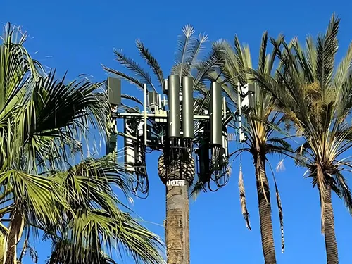 Palm Tree Tower Installed in a Public Park