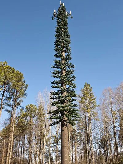 Camouflaged Communication Tower