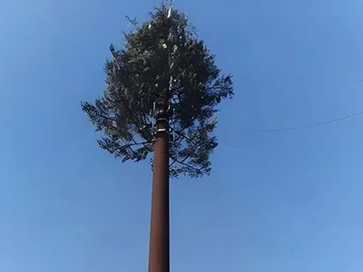 25m Pine Tree Tower