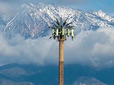 Palm Tree Tower Installed in a High-Altitude Area