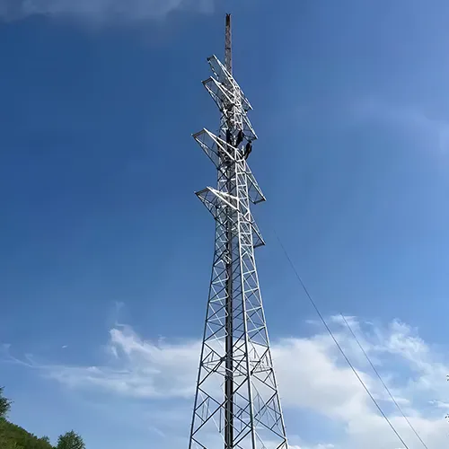 Project Application Examples