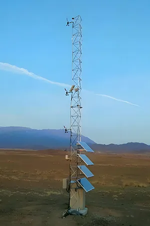 Strong wind and seismic resistance